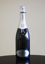 Pilandro - Brut Metodo Classico