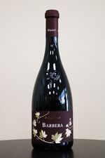 Pilandro - Barbera D.O.C.